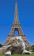 Eiffel_Tower_Boo-sm